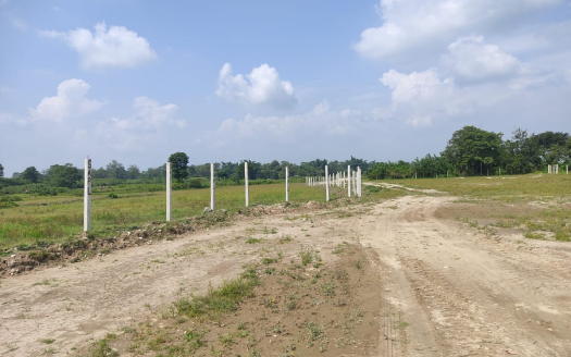 house_nice_2-525x328-1-1 (3)